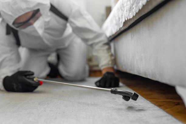 Professional Termite Control technician working in La Plata, NM