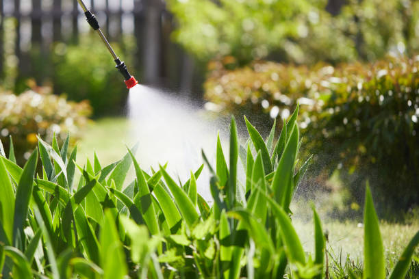 24/7 Emergency Termite Control experts in La Plata, NM