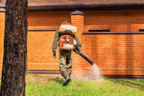 Trusted Ant Control service in La Plata, NM - Nex Pest Control